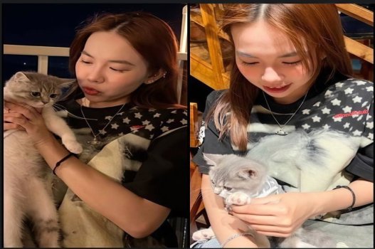 Sex mới Bảo Ngọc vừa nuôi mèo vừa cho chim ăn